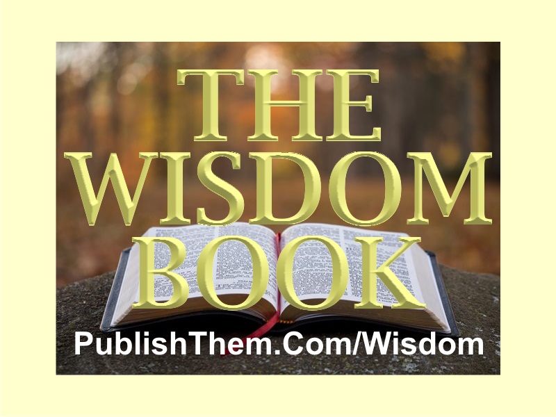 Daily Divine And Experiential Wisdom Principles Book And eBook By Dr. Leesi Ebenezer Mitee